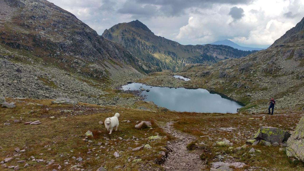 Отель Maso Valfloriana Экстерьер фото